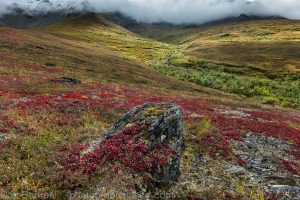 Mixed light and changing colors. Eastern Alaska Range